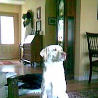 Bruce Cook Photo 23