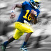 Adam Robinson Photo 10