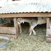 Sharon York Photo 15