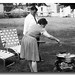Susan Cook Photo 13