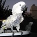 Betty Gray Photo 25