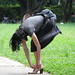 Paula Cohen Photo 35