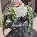 Jeri Fleming Photo 14