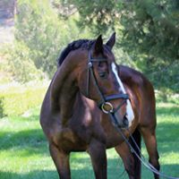 Sherry Dorris Photo 17