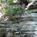 Jason Collard Photo 19