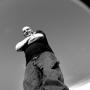 Jeffrey Ross Photo 28