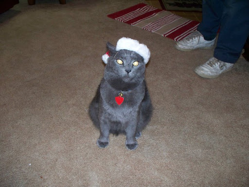 Teresa Wolke Photo 9