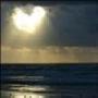 Annette Conner Photo 13