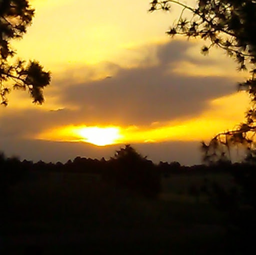 Tina Hutchens Photo 8