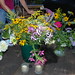 Katherine Flowers Photo 16