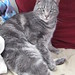 Leroy Gray Photo 4