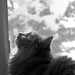 Annie Winters Photo 19