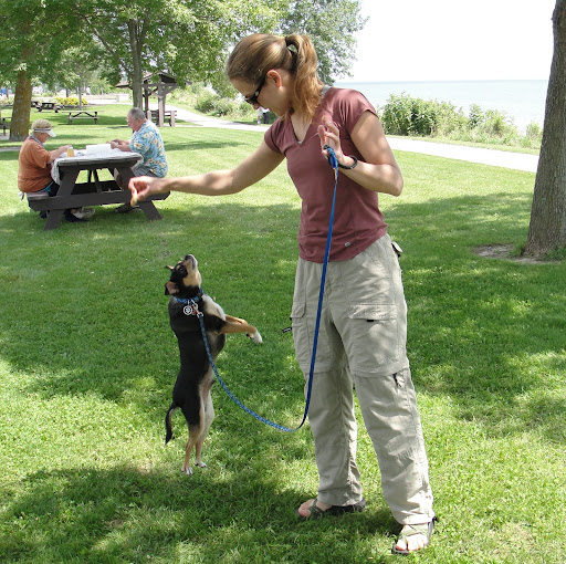 Carolyn Rogers Photo 8