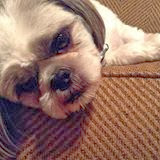 Christina Milam Photo 17