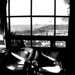 Luis Rojas Photo 51