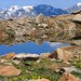 Sandra Pond Photo 18
