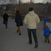 David Hogle Photo 12