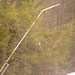 Paul Graboski Photo 8