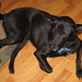 Karen Peters Photo 43
