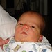 Jan Grabowski Photo 18