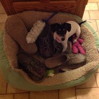 Connie Mccormick Photo 10