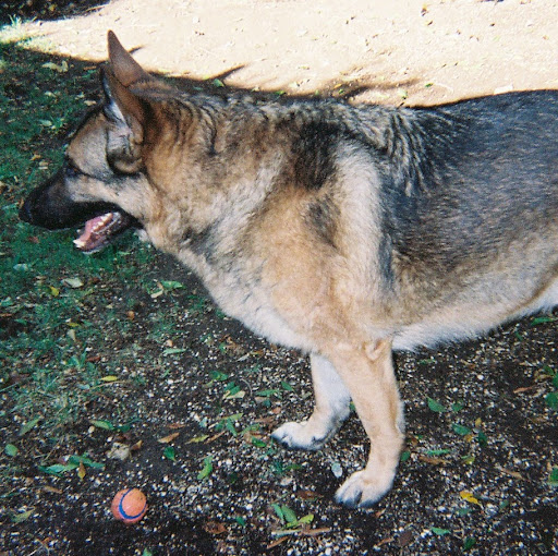 Jo Jensen Photo 4