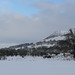 Linda Bamford Photo 6
