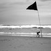 Peter Fortune Photo 7