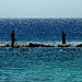 Mohamed Hamid Photo 19