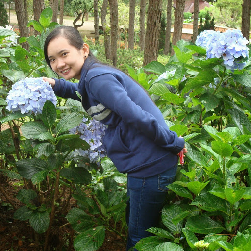 Phuong Tran Photo 33