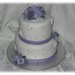 Tammy Luster Photo 1