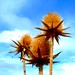 Robert Elden Photo 6