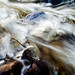 Dawn Eaton Photo 7