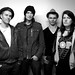 Phillip Moran Photo 13