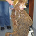 Sue Wolf Photo 41