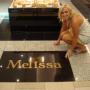 Melissa Adams Photo 47
