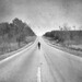 Gayle Johnson Photo 13