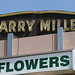 Harry Miller Photo 35