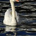 Darrell Dyer Photo 12