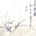 Yin Ho Photo 31