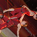 David Frederickson Photo 11
