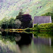 Steven Barras Photo 10