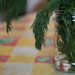 April Dill Photo 16