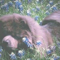 Lora Ramsey Photo 10