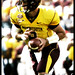 Adam Weber Photo 48