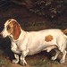 Frank Paton Photo 9