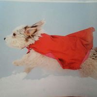 Martha Mclaughlin Photo 33