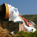 An Doan Photo 16