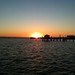 Mark Sapp Photo 27