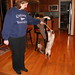 Julia Toy Photo 9